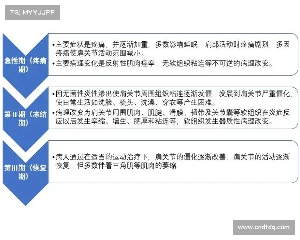壶铃训练在慢性肩周炎康复计划中的应用及安全阈值分析 壶铃训练在慢性肩周炎康复计划中的应用及安全阈值分析