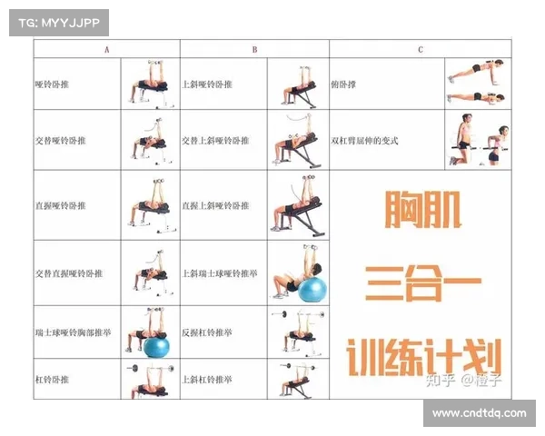 哑铃组合训练在心肺耐力提升中的实际应用与局限性探讨 哑铃组合训练在心肺耐力提升中的实际应用与局限性探讨