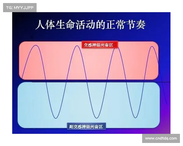 拉力绳动作节奏变化对神经适应训练中运动学反馈监测的影响与应用研究